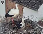 Capi_Dubne_20250422_070503.jpg