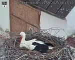 Capi_Dubne_20250422_081503.jpg