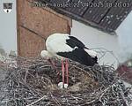 Capi_Dubne_20250422_082003.jpg