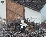 Capi_Dubne_20250422_083003.jpg