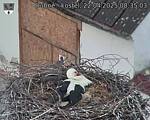 Capi_Dubne_20250422_083503.jpg