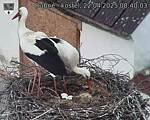 Capi_Dubne_20250422_084003.jpg