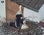 Capi_Dubne_20250422_093003.jpg