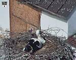 Capi_Dubne_20250422_105003.jpg