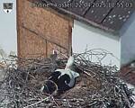 Capi_Dubne_20250422_105503.jpg