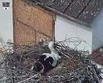 Capi_Dubne_20250422_110003.jpg