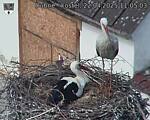 Capi_Dubne_20250422_110503.jpg