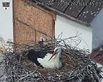 Capi_Dubne_20250422_114503.jpg