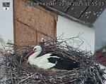 Capi_Dubne_20250422_115503.jpg