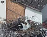 Capi_Dubne_20250422_122003.jpg