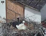 Capi_Dubne_20250422_133502.jpg