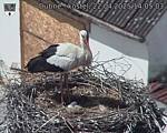 Capi_Dubne_20250422_140503.jpg