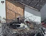 Capi_Dubne_20250422_142003.jpg