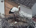 Capi_Dubne_20250422_145503.jpg