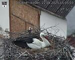 Capi_Dubne_20250422_150503.jpg