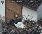 Capi_Dubne_20250422_152002.jpg