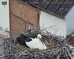 Capi_Dubne_20250422_153002.jpg