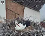 Capi_Dubne_20250422_153503.jpg