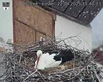 Capi_Dubne_20250422_154003.jpg