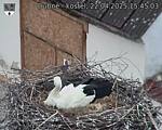 Capi_Dubne_20250422_154503.jpg