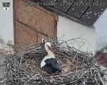 Capi_Dubne_20250422_155003.jpg