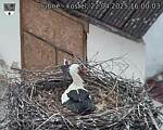Capi_Dubne_20250422_160003.jpg