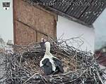 Capi_Dubne_20250422_160502.jpg