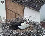 Capi_Dubne_20250422_161003.jpg