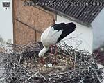 Capi_Dubne_20250422_163003.jpg