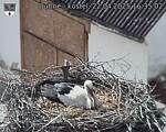 Capi_Dubne_20250422_163502.jpg