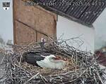 Capi_Dubne_20250422_164003.jpg