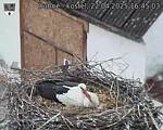 Capi_Dubne_20250422_164503.jpg