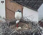 Capi_Dubne_20250422_171503.jpg