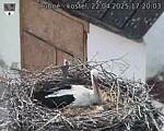 Capi_Dubne_20250422_172003.jpg