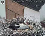 Capi_Dubne_20250422_172503.jpg
