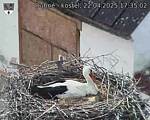 Capi_Dubne_20250422_173502.jpg