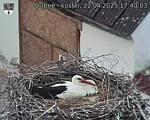 Capi_Dubne_20250422_174003.jpg