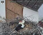 Capi_Dubne_20250422_174503.jpg