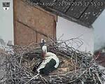 Capi_Dubne_20250422_175503.jpg