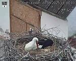 Capi_Dubne_20250422_180003.jpg