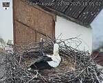 Capi_Dubne_20250422_180502.jpg