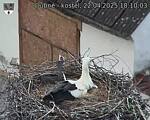 Capi_Dubne_20250422_181003.jpg