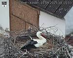 Capi_Dubne_20250422_181503.jpg