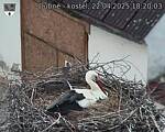 Capi_Dubne_20250422_182003.jpg