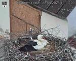 Capi_Dubne_20250422_183003.jpg