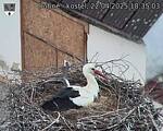 Capi_Dubne_20250422_183503.jpg