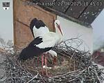 Capi_Dubne_20250422_184503.jpg