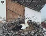 Capi_Dubne_20250422_185003.jpg