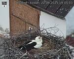 Capi_Dubne_20250422_190503.jpg