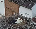 Capi_Dubne_20250422_191003.jpg